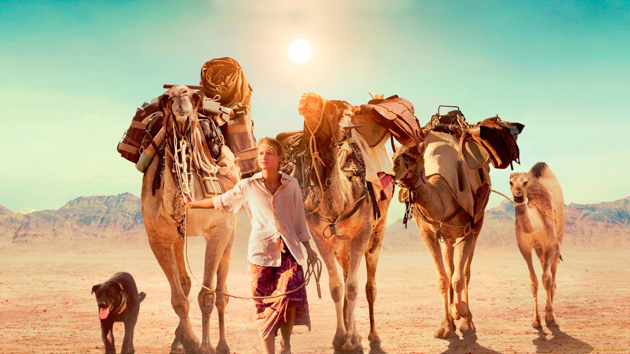 tracks , 2013,  , -unknown , , tracks, mia, wasikowska, , , robyn, davidson, , 